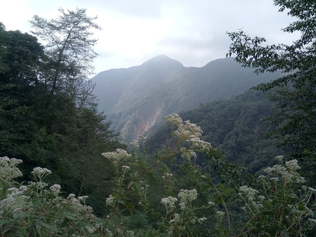 DSC_2684.JPG - 台中  和平  稍來山南峰