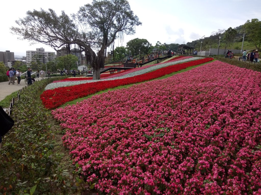 DSC_5436.JPG - 北投社  三層崎公園