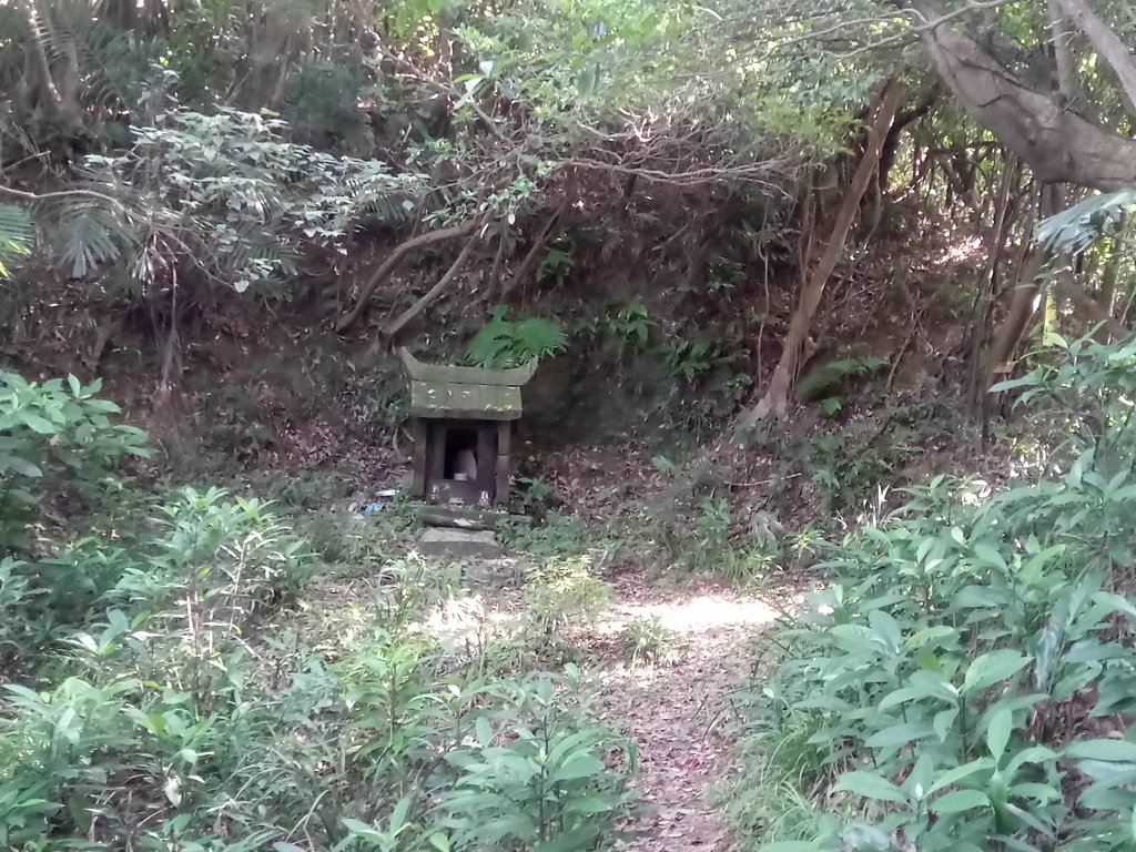 DSC_5489.JPG - 瑞芳  蚊子坑古道  龍洞稜