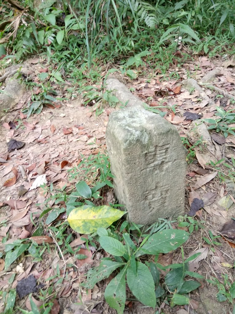 DSC_3008.JPG - 大溪  金面山登山步道