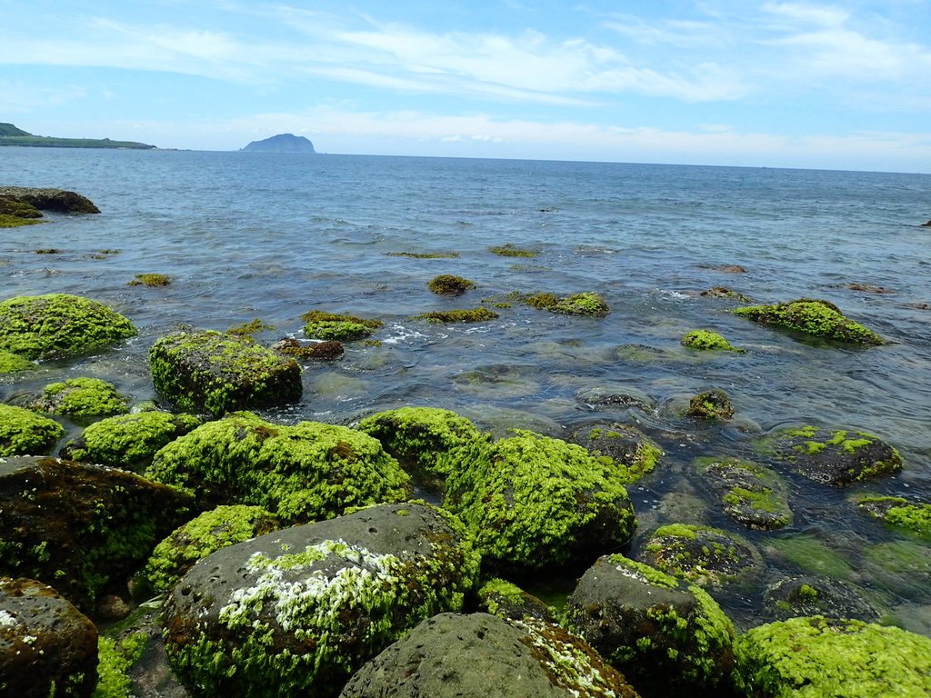 P6194614.JPG - 瑞芳  深奧神秘海岸之美