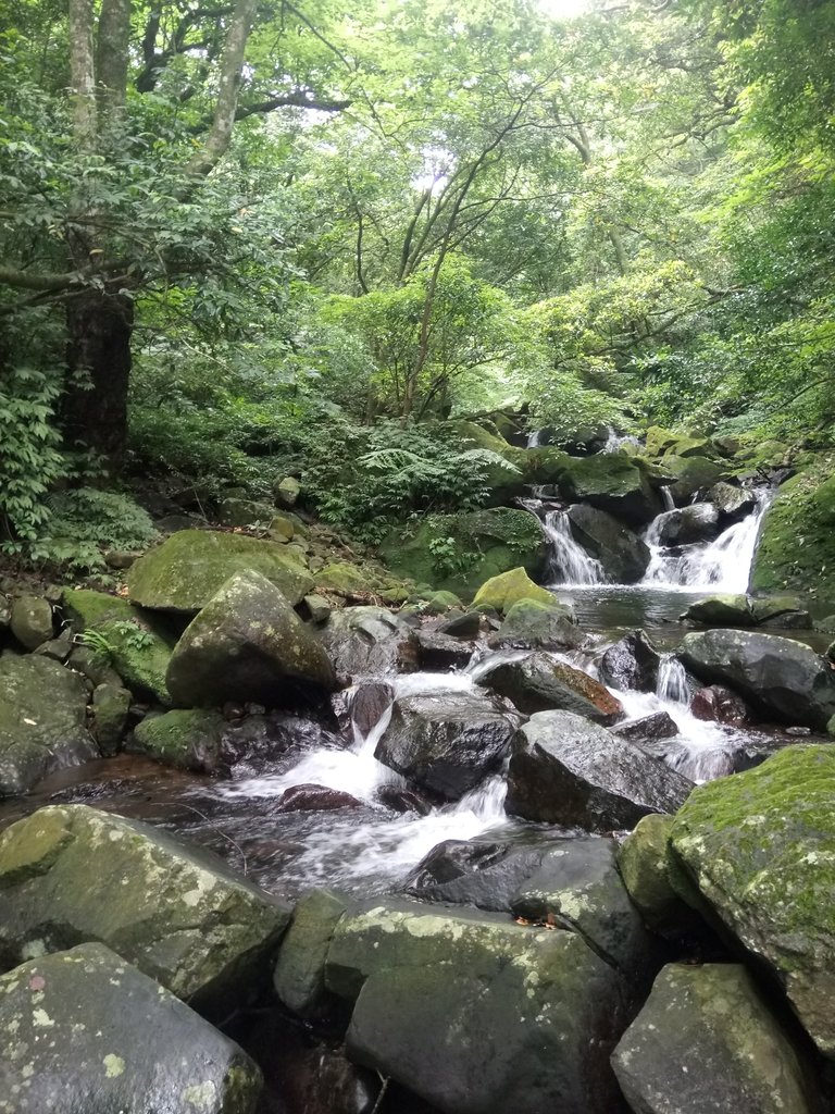 DSC_0722.JPG - 三芝  大屯溪古道