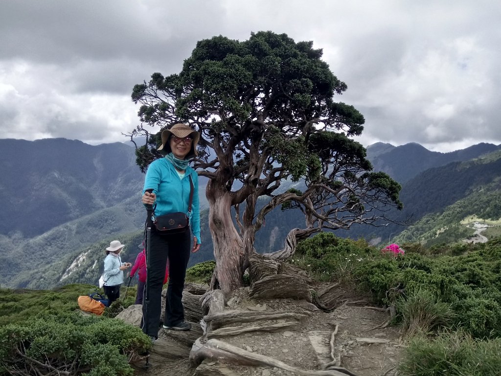 DSC_5445.JPG - 合歡山  北峰之美  (下)