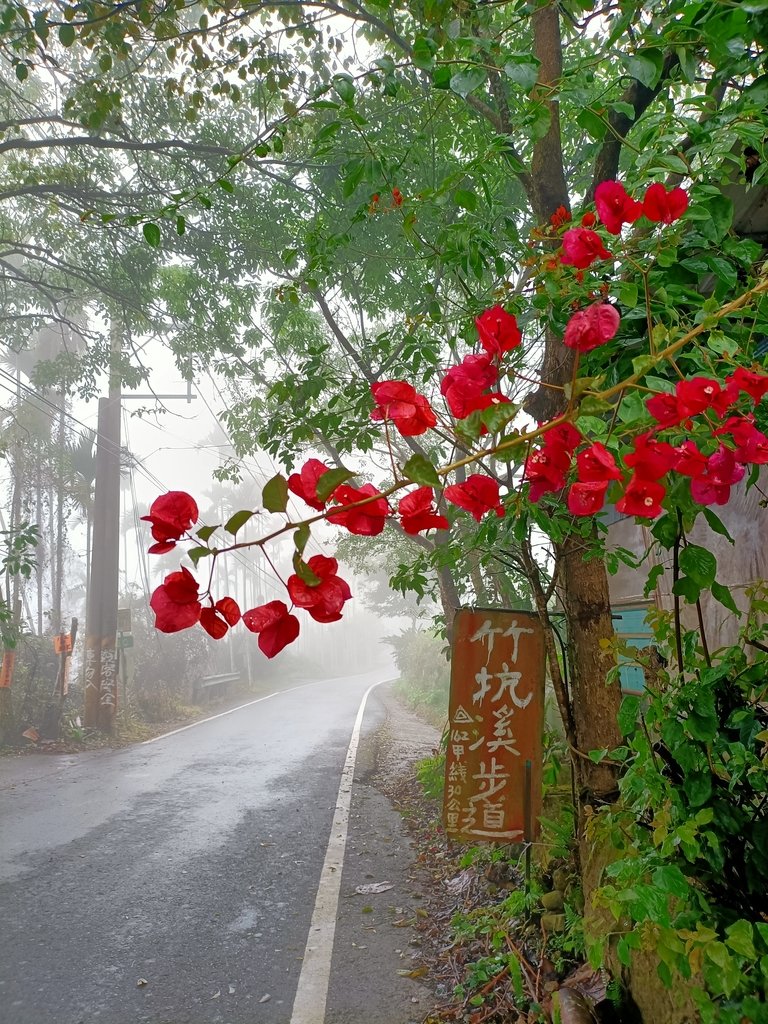 IMG20210108111042.jpg - 梅山  瑞峰村  竹坑溪步道