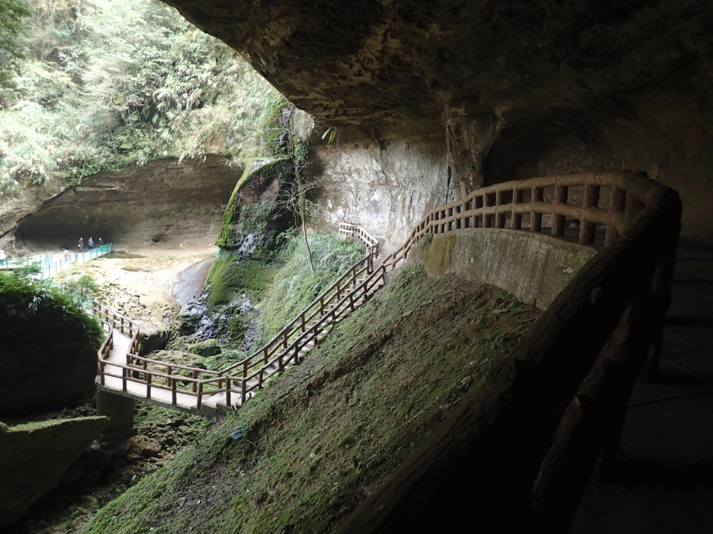 P2056662.JPG - 竹山  杉林溪森林遊樂園  路過