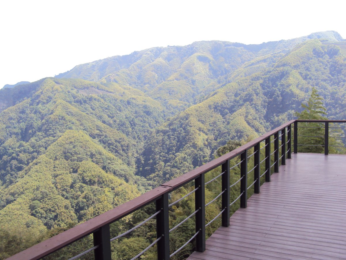 DSC08005.JPG - 竹山  軟鞍  八卦茶園