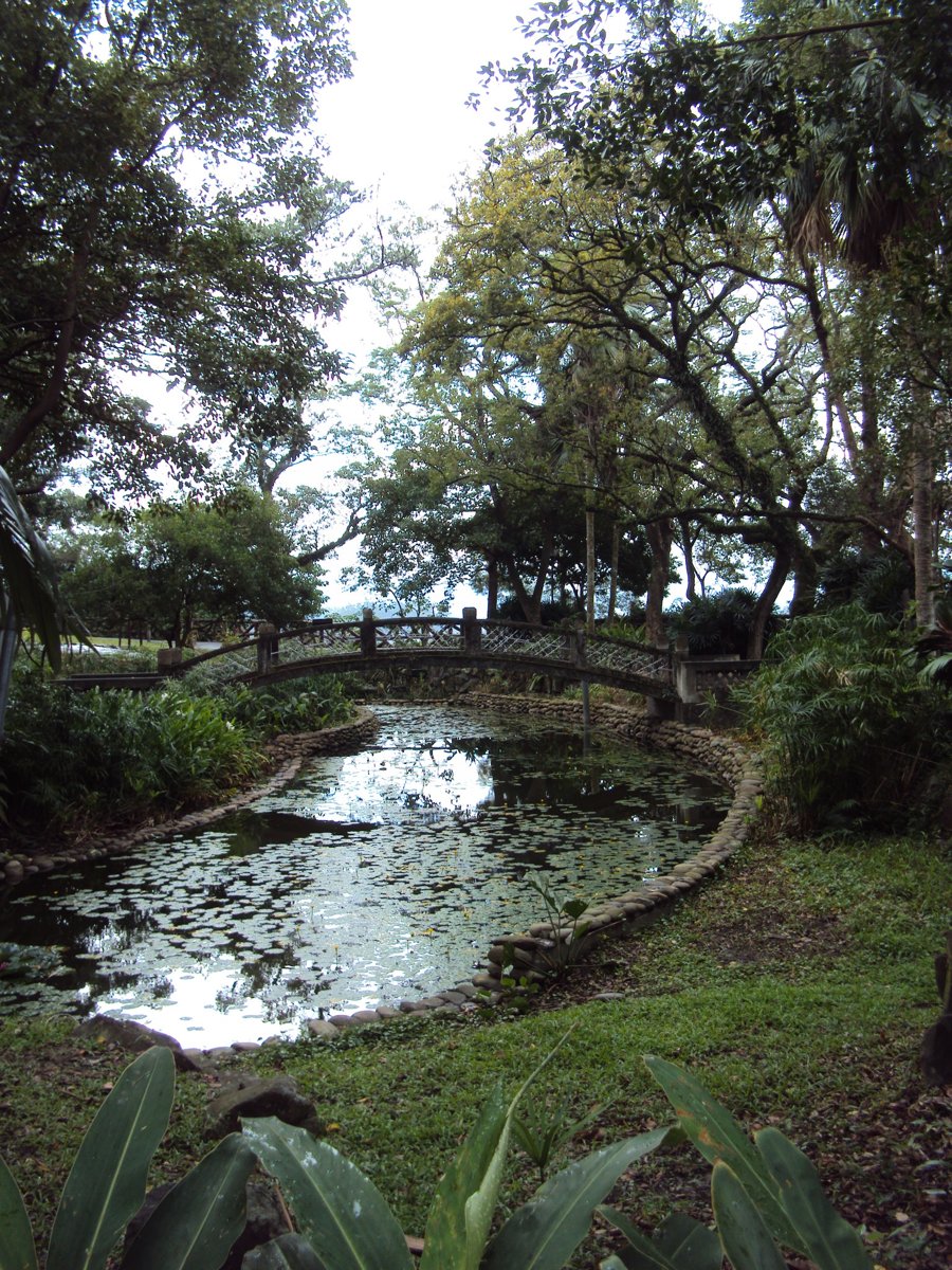 DSC01838.JPG - 大溪神社  壹號館