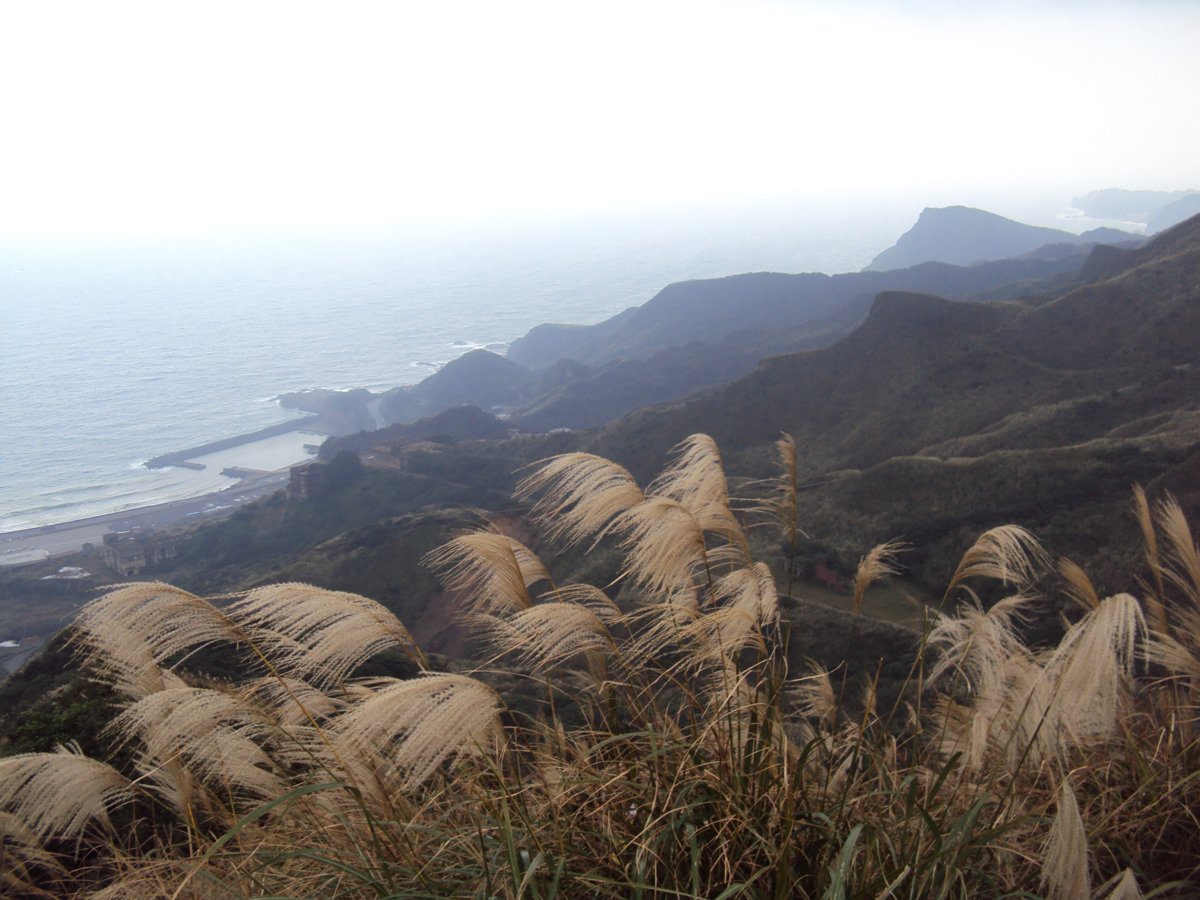 DSC03308.JPG - 報時山步道