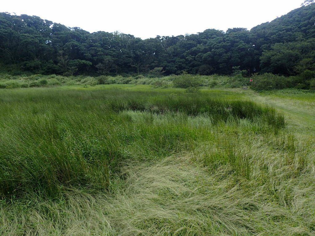 P9238225.JPG - 北投  面天山  向天湖步道