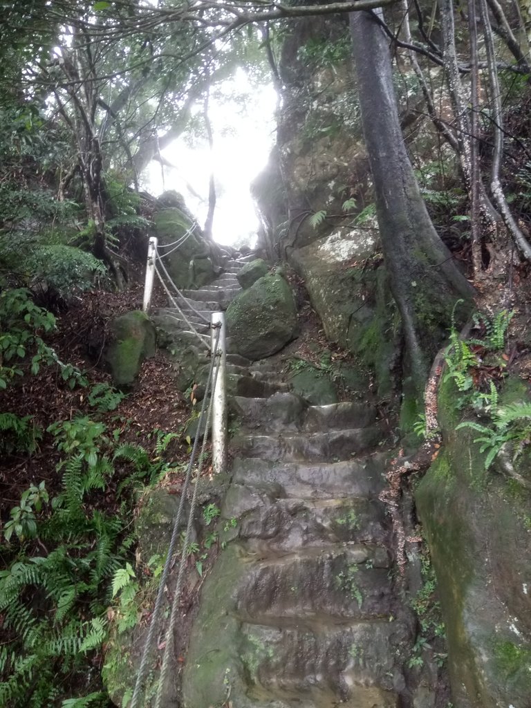 DSC_1727.JPG - 土城  天上山  登山步道