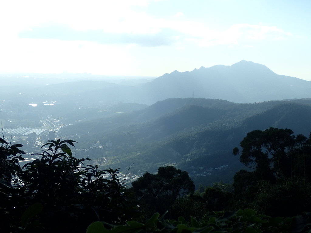 PB247284.JPG - 北投  中正山登山步道 01