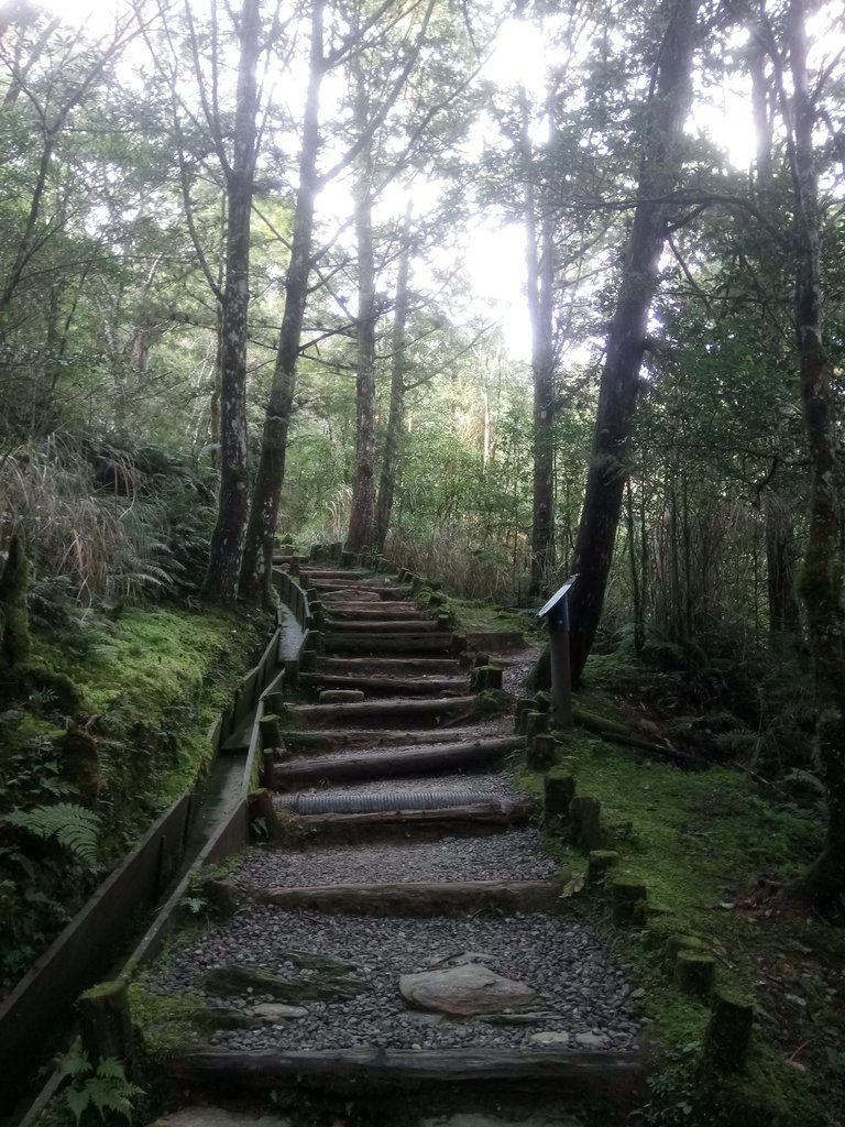 DSC_0130.JPG - 太平山  翠峰湖環山步道  01