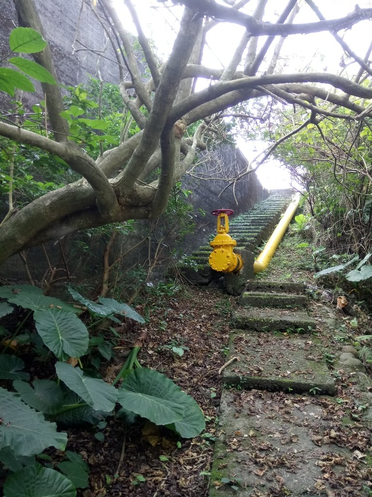 DSC_3065.JPG - 基隆  球子山(火號山)步道