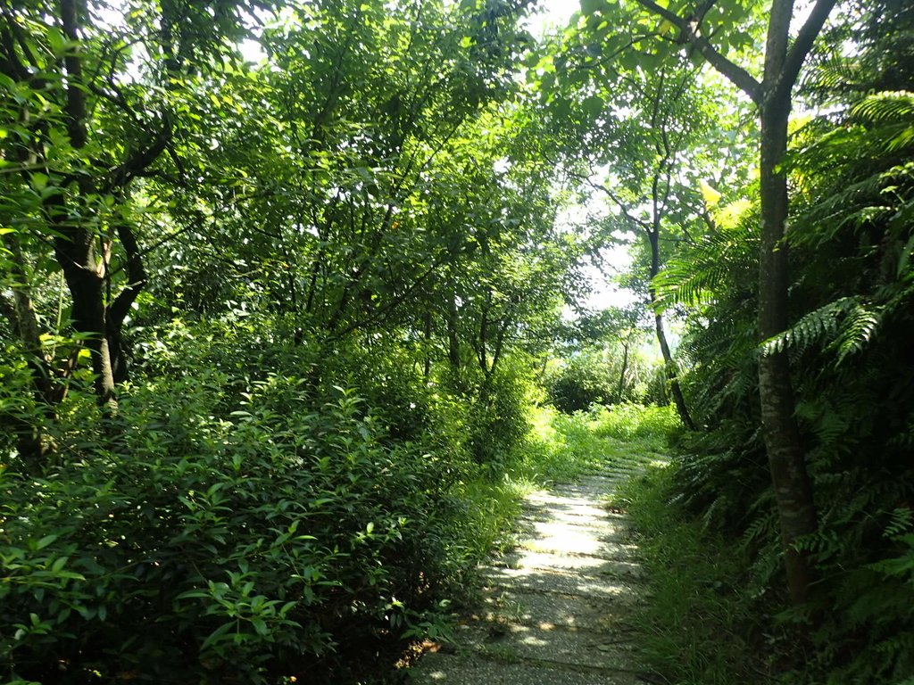 P7214018.JPG - 基隆  樂利山  遠眺新山水庫