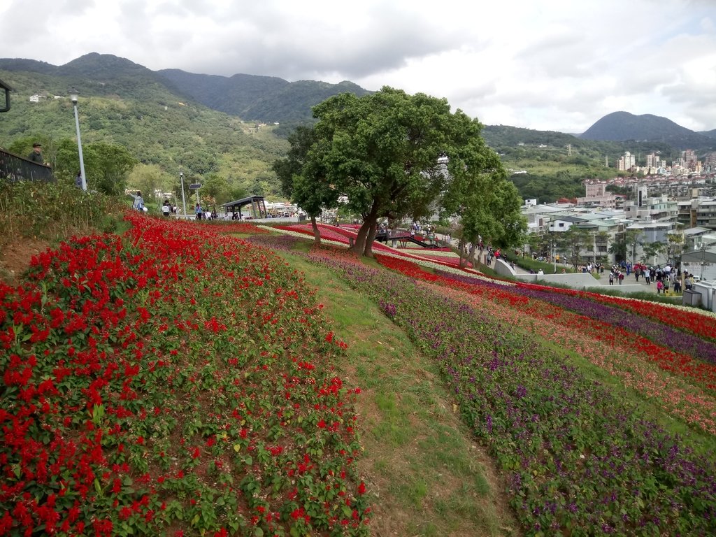 DSC_5448.JPG - 北投社  三層崎公園