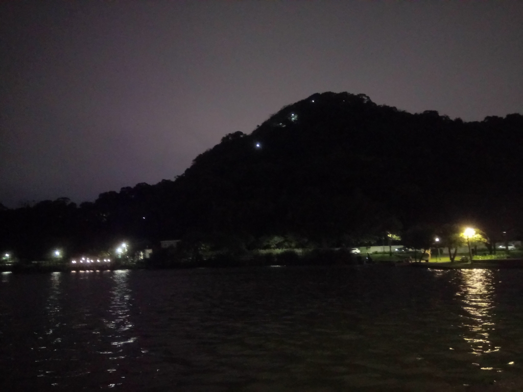 DSC_9315.JPG - 內湖  大湖公園之夜色