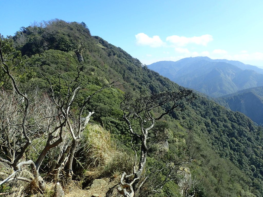 P2034818.JPG - 南庄  加里山