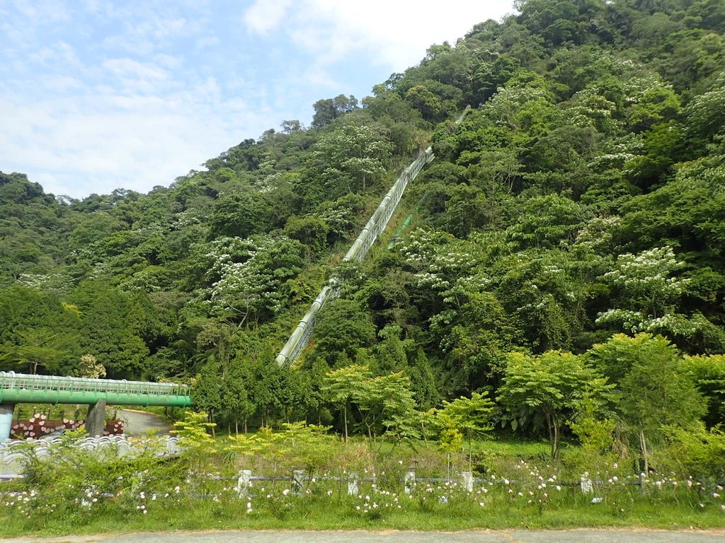 P5012372.JPG - 新社  白冷圳紀念公園