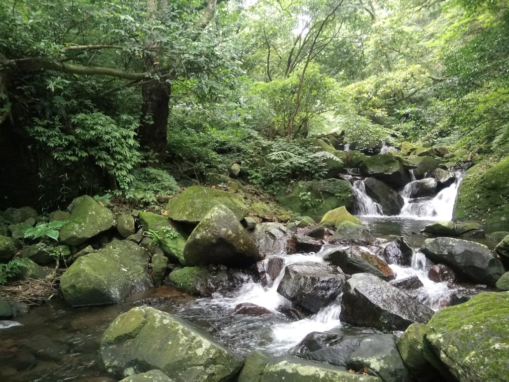 DSC_0723.JPG - 三芝  大屯溪古道