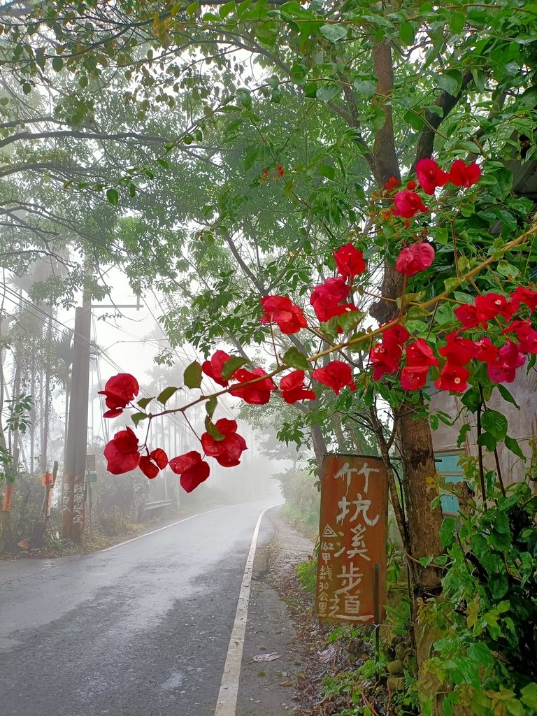 IMG20210108111043.jpg - 梅山  瑞峰村  竹坑溪步道