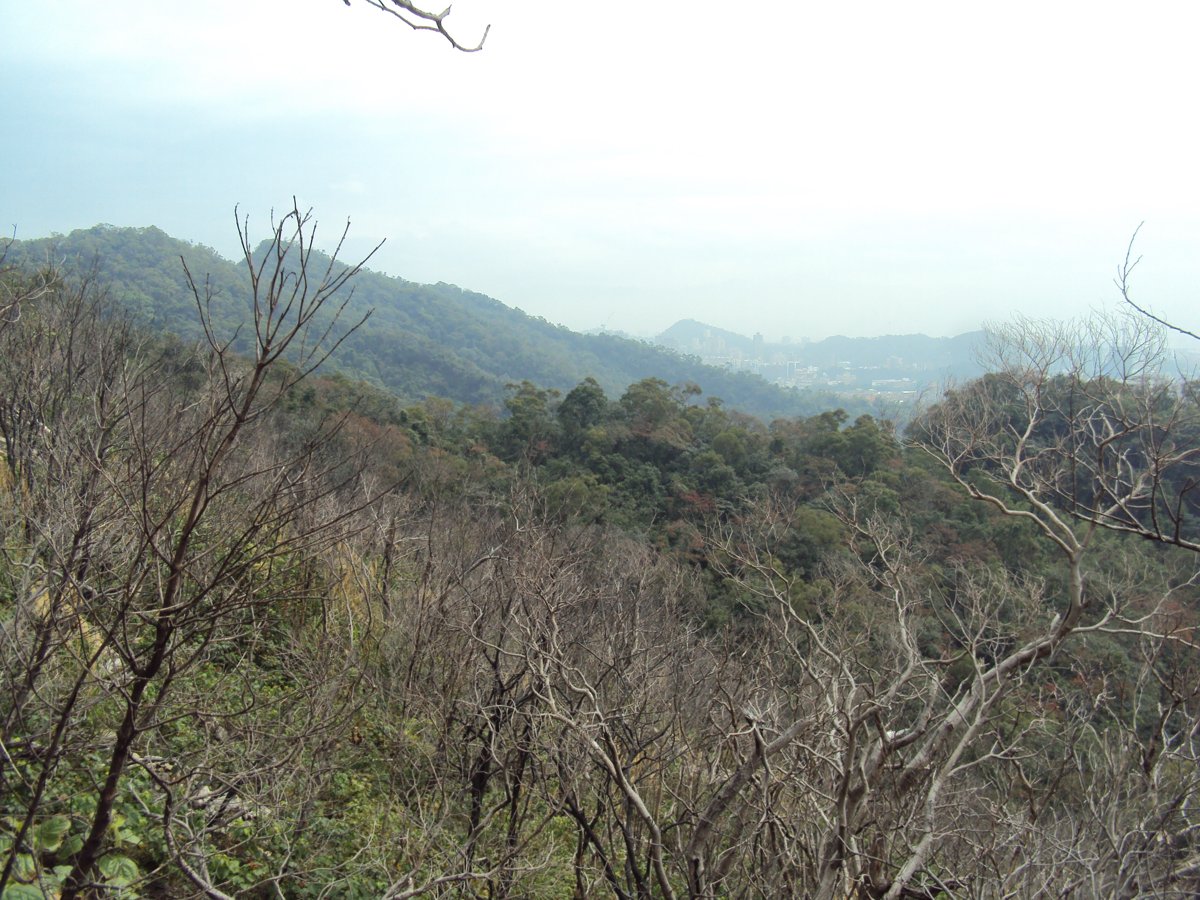 DSC06681.JPG - 內湖  金面山步道