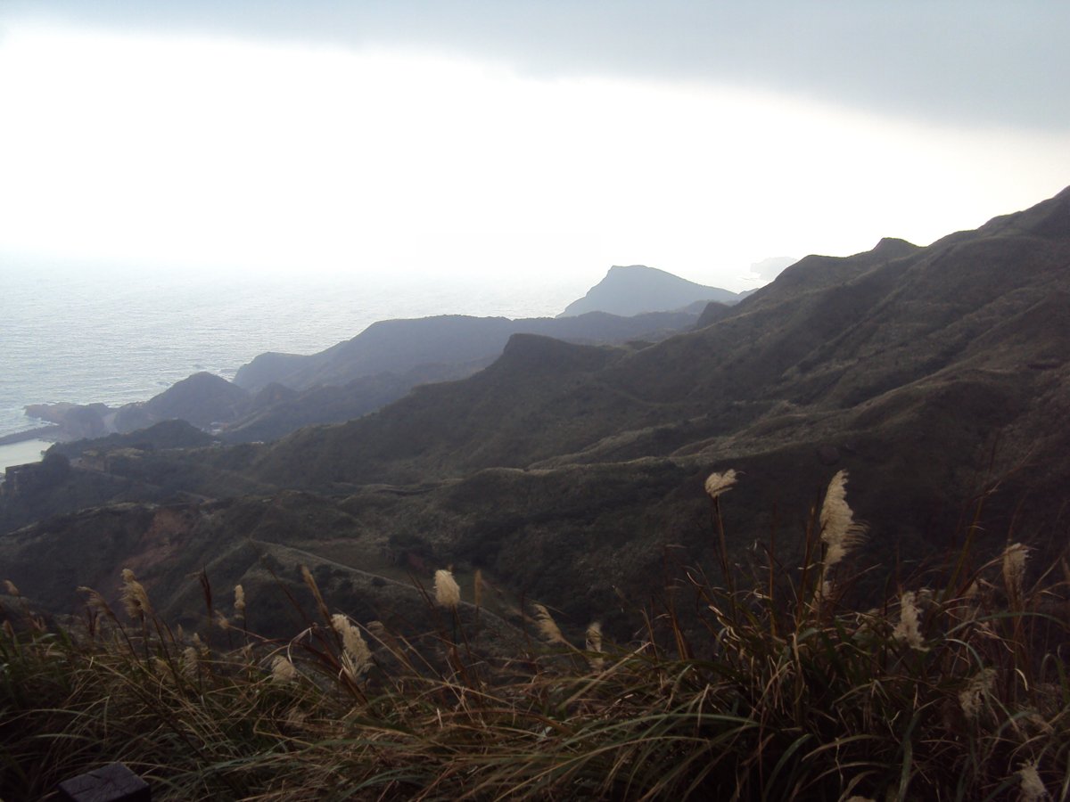 DSC03312.JPG - 報時山步道