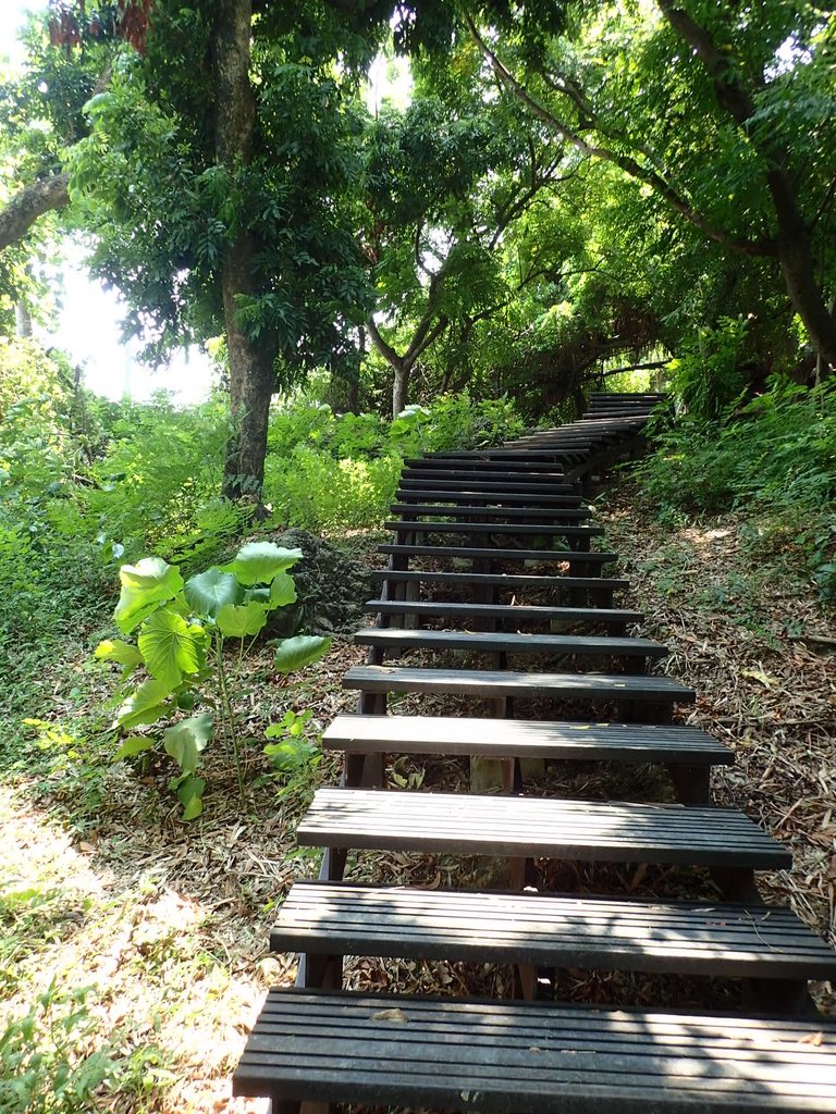 P8191746.JPG - 左營  蓮池潭  龜山公園