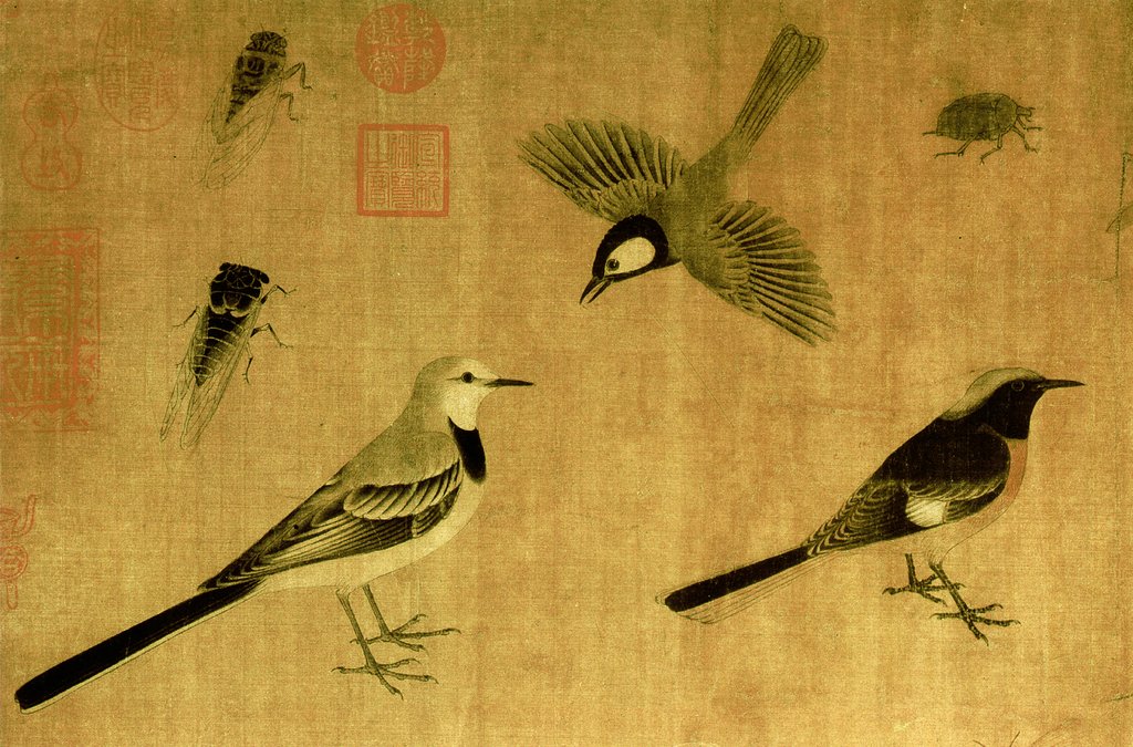 huangquan-01-01x.jpg - 黃筌  寫生禽鳥圖