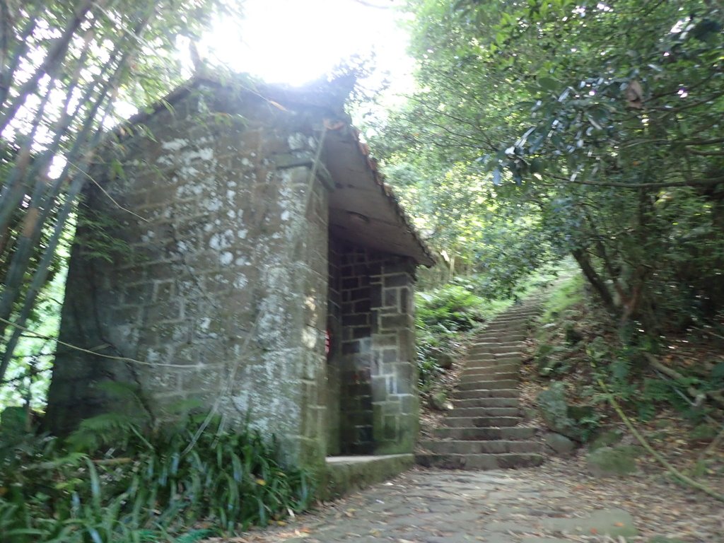 P9238166.JPG - 北投  面天山  向天湖步道