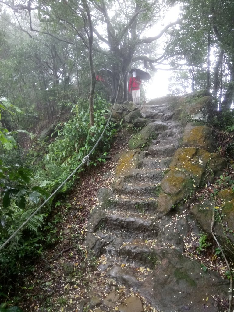 DSC_1729.JPG - 土城  天上山  登山步道