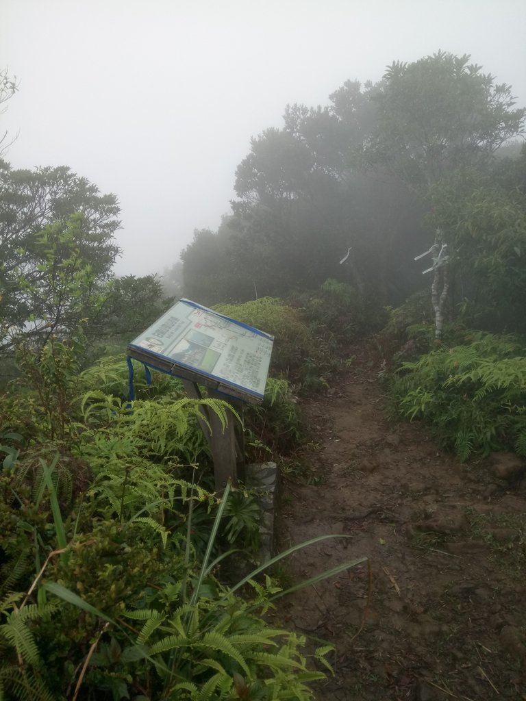 DSC_6257.JPG - 三峽  白雞山登山步道