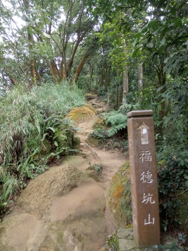 DSC_5175.JPG - 三峽  鳶山  (福德坑山)