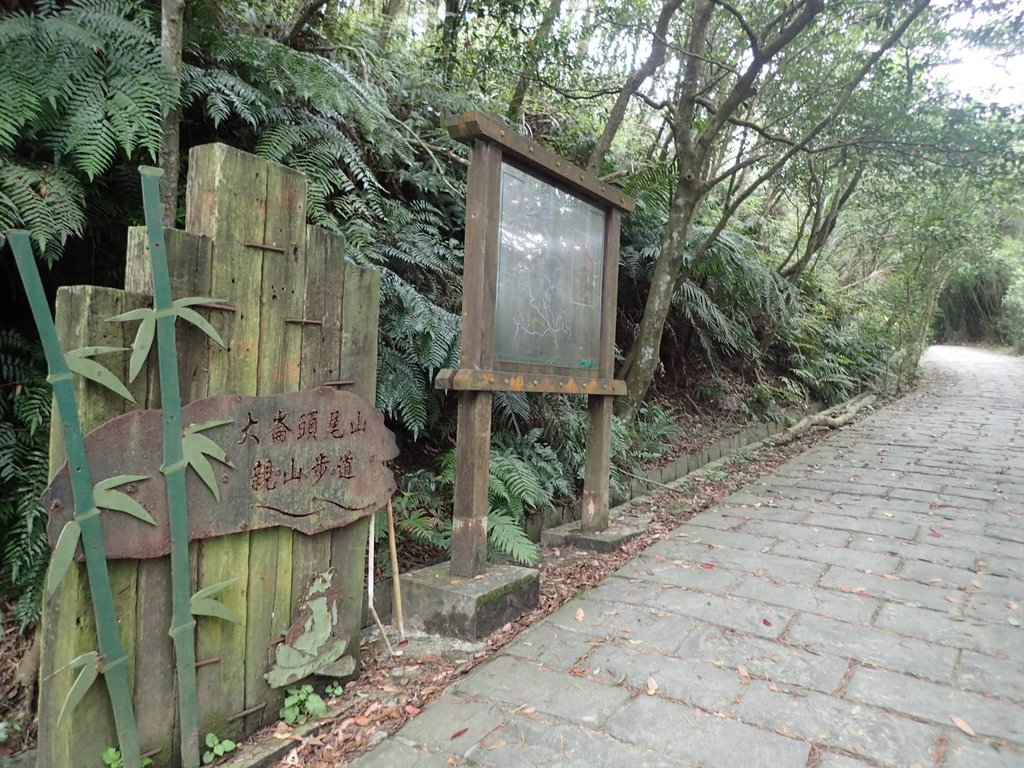 P2288708.JPG - 內湖  大崙頭山