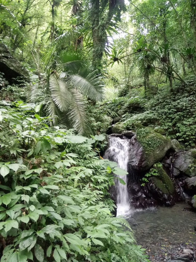 DSC_2794.JPG - 礁溪  聖母登山步道  (抹茶山)