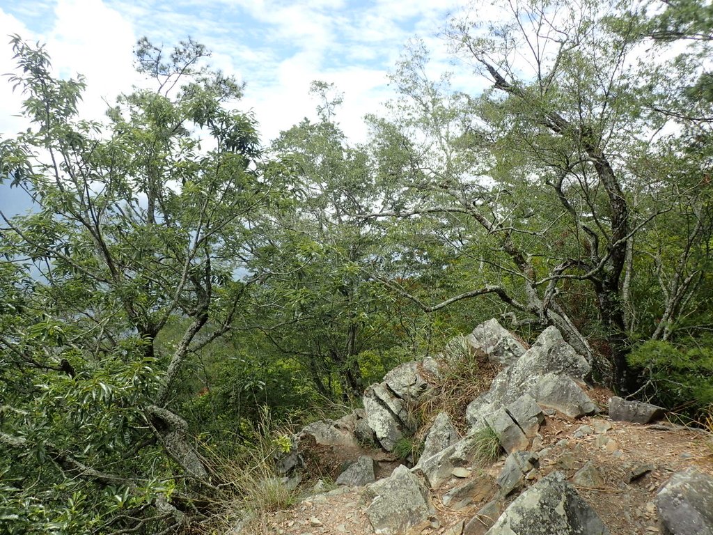 P5012335.JPG - 谷關七雄之  波津加山