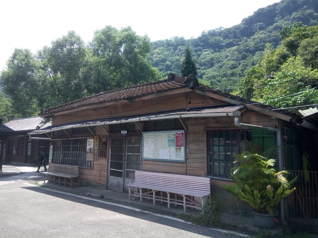 DSC_0649.JPG - 花蓮  鳳林  林田山林業文化園區