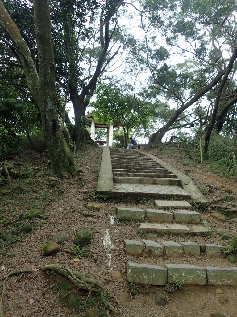 P4272133.JPG - 芎林  飛鳳山  (中坑山)