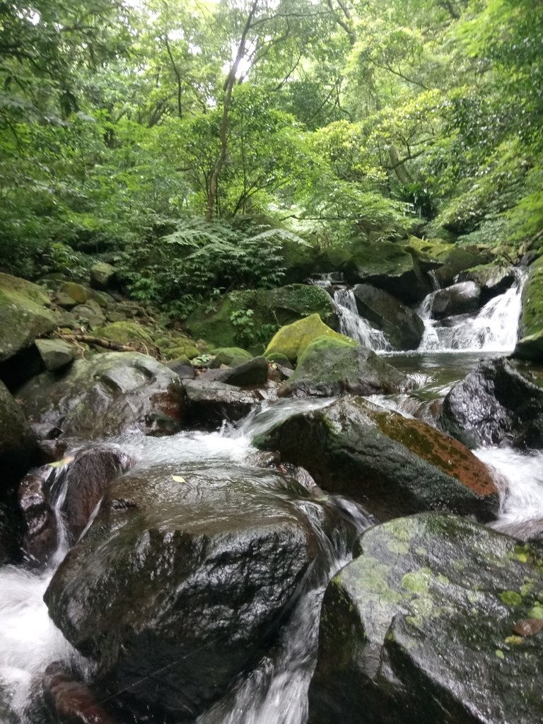 DSC_0728.JPG - 三芝  大屯溪古道