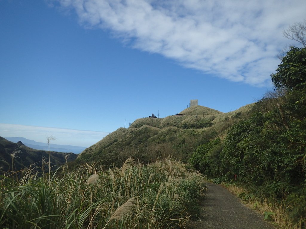 P1216568.JPG - 瑞芳  草山戰備道  (02)