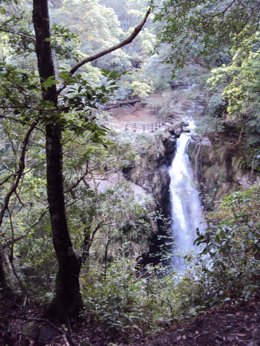 DSC04471.JPG - 三峽  滿月圓遊樂區