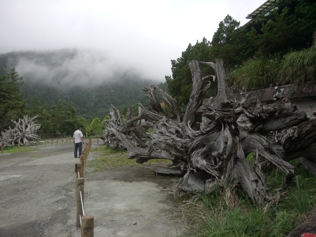 DSC_5640.JPG - 大同  太平山森林遊樂區