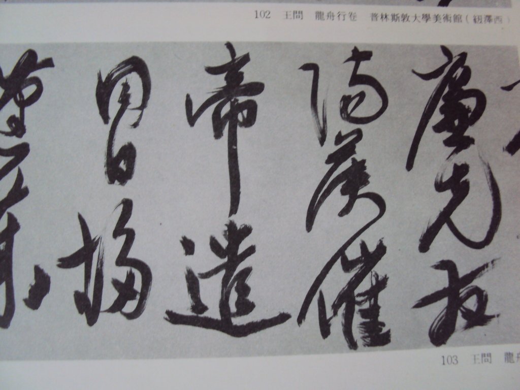 DSC00022.JPG - 王問  草書作品