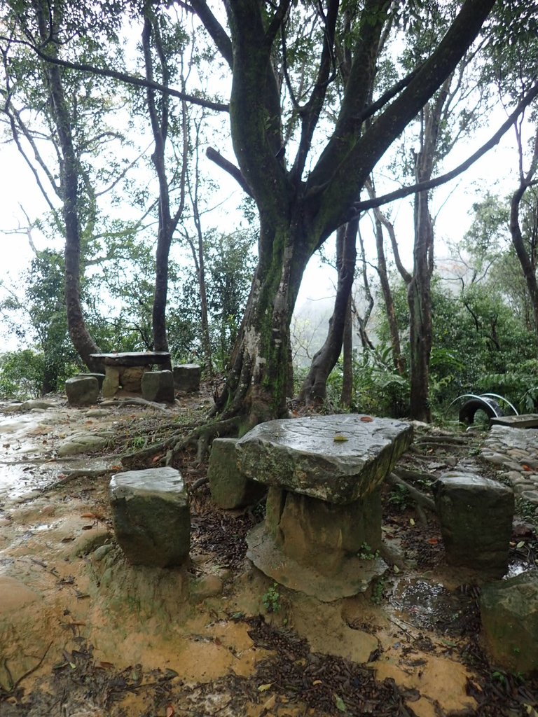 P1062040.JPG - 土城  天上山  登山步道