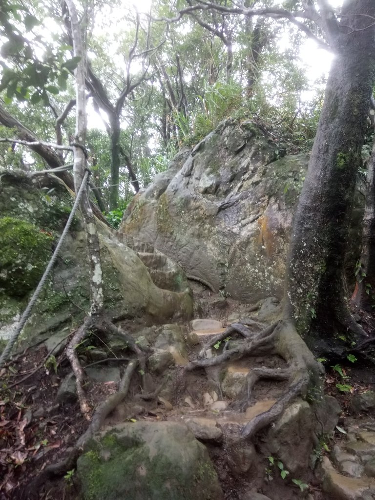 DSC_1730.JPG - 土城  天上山  登山步道