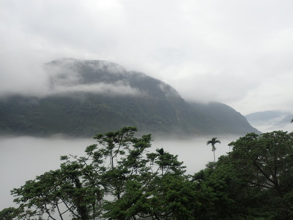 PA231557.JPG - 古坑  草嶺  雲山繚繞