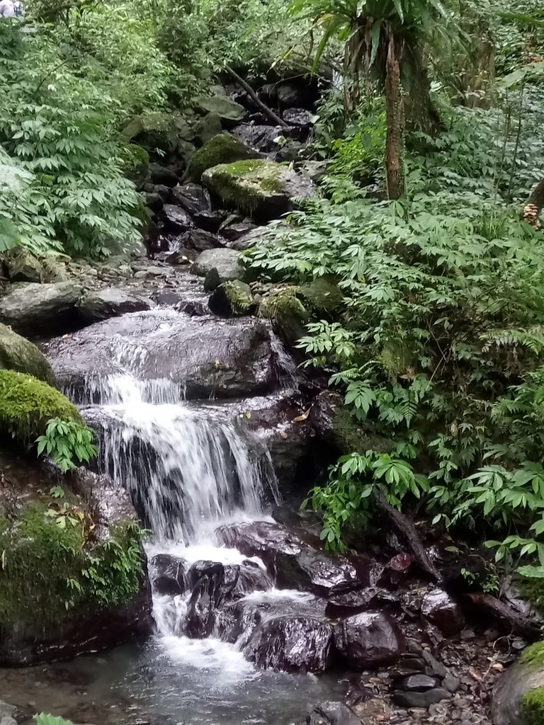 DSC_2799.JPG - 礁溪  聖母登山步道  (抹茶山)