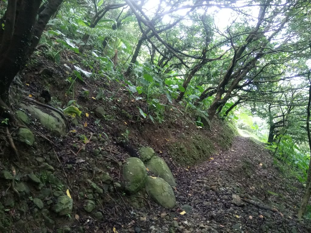 DSC_9438.JPG - 瑞芳  雞籠山登山步道