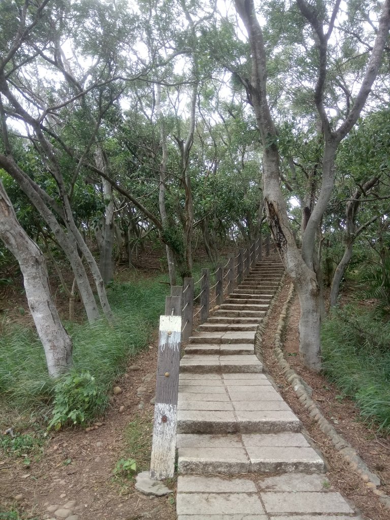 DSC_0901.JPG - 新豐  鳳崎落日步道