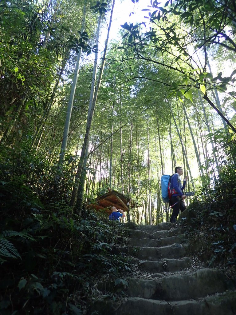 PC055882.JPG - 鹿谷  溪頭  南鳳凰山