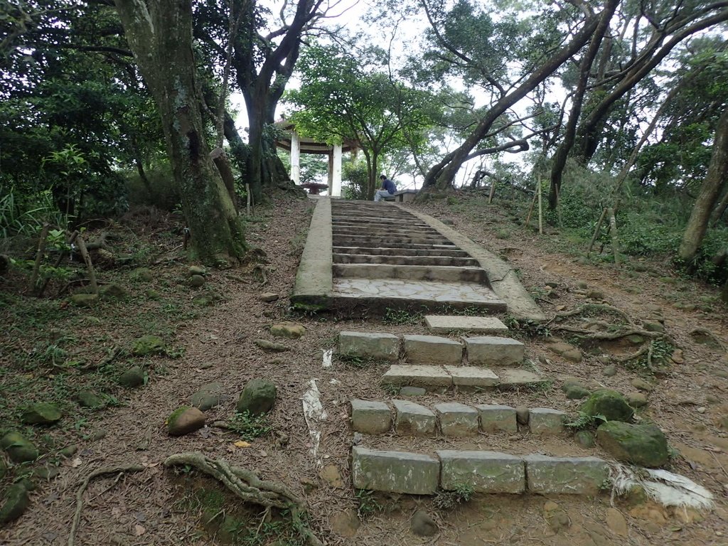 P4272134.JPG - 芎林  飛鳳山  (中坑山)